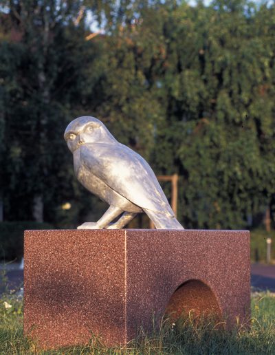 Owl with human hands and nose looking over its shoulder
